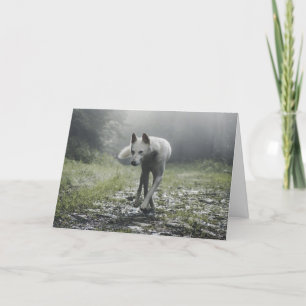 White Siberian Husky Bedankkaart