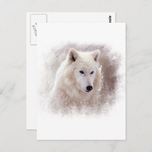 WHITE SIBERIAN HUSKY. BRIEFKAART (Voorkant / Achterkant)