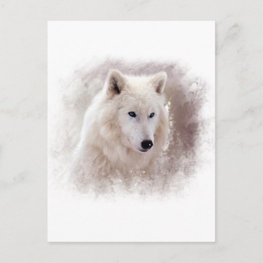 WHITE SIBERIAN HUSKY. BRIEFKAART (Voorkant)