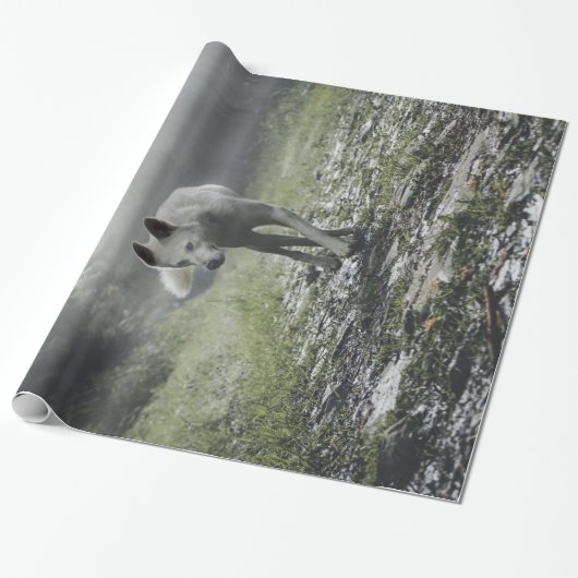 White Siberian Husky Cadeaupapier (Uitgerold)