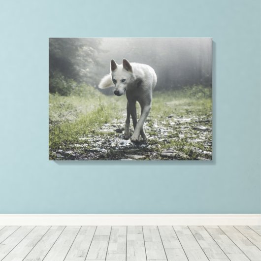 White Siberian Husky Canvas Afdruk (Insitu (Houten vloer))