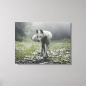 White Siberian Husky Canvas Afdruk (Voorkant)