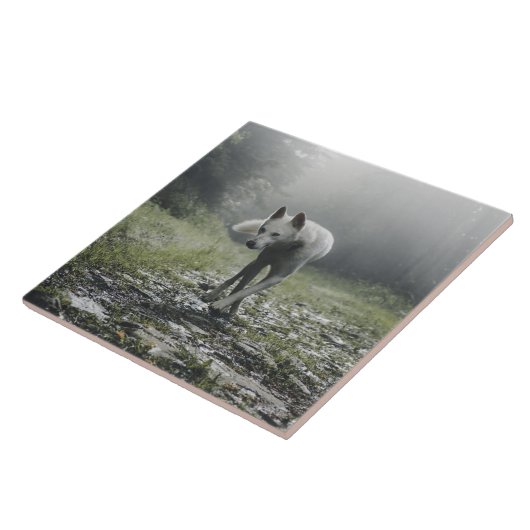 White Siberian Husky Ceramic Tile Tegeltje (Zijkant)