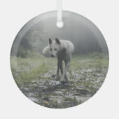 White Siberian Husky Glas Ornament (Voorkant)