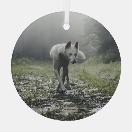 White Siberian Husky Glas Ornament (Achterkant)