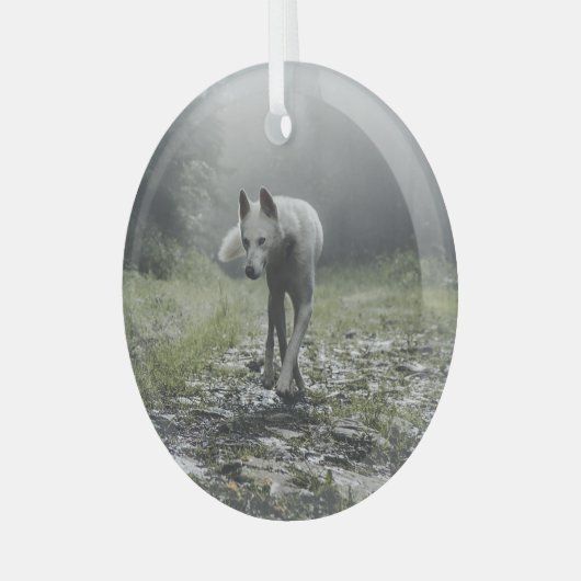 White Siberian Husky Glas Ornament (Voorkant links)