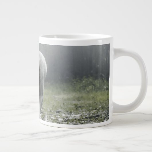 White Siberian Husky Grote Koffiekop (Rechts)