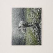 White Siberian Husky Jigzaag Puzzle Legpuzzel (Verticaal)