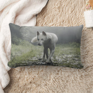 White Siberian Husky Kussen