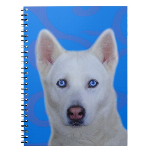 White Siberian Husky-laptop Notitieboek (Voorkant)