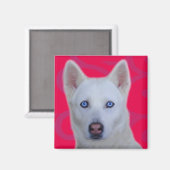 White Siberian Husky Magneet (Voorkant / Achterkant)