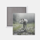 White Siberian Husky Magnet (Voorkant / Achterkant)