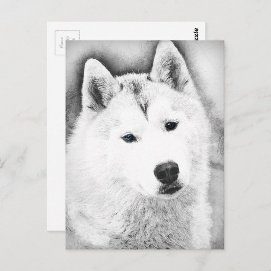 White Siberian Husky met Blue Eyes Fine Art Sketch Briefkaart (Voorkant / Achterkant)