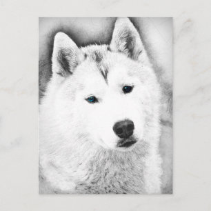 White Siberian Husky met Blue Eyes Fine Art Sketch Briefkaart