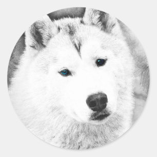 White Siberian Husky met Blue Eyes Fine Art Sketch Ronde Sticker