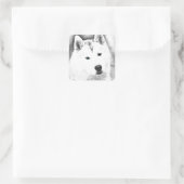 White Siberian Husky met Blue Eyes Fine Art Sketch Vierkante Sticker (Tas)