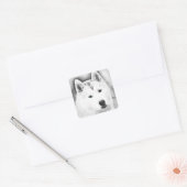 White Siberian Husky met Blue Eyes Fine Art Sketch Vierkante Sticker (Envelop)