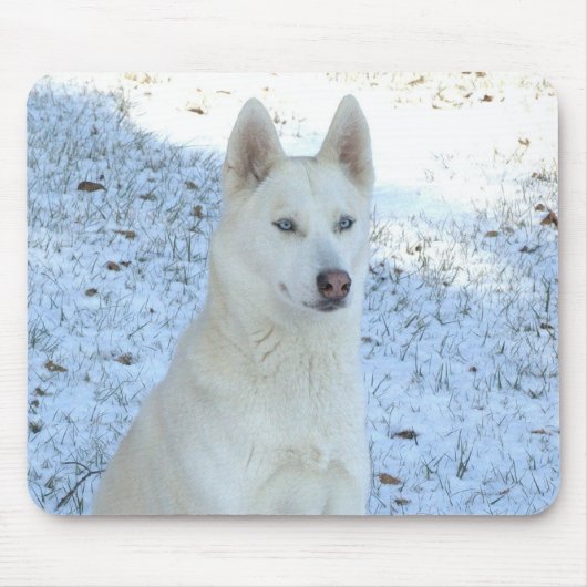 White Siberian Husky mousepad Muismat (Voorkant)