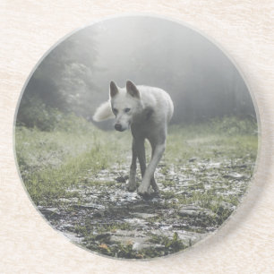 White Siberian Husky Onderzetter