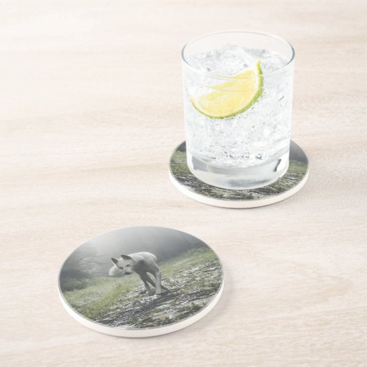 White Siberian Husky Onderzetter (Zijkant)