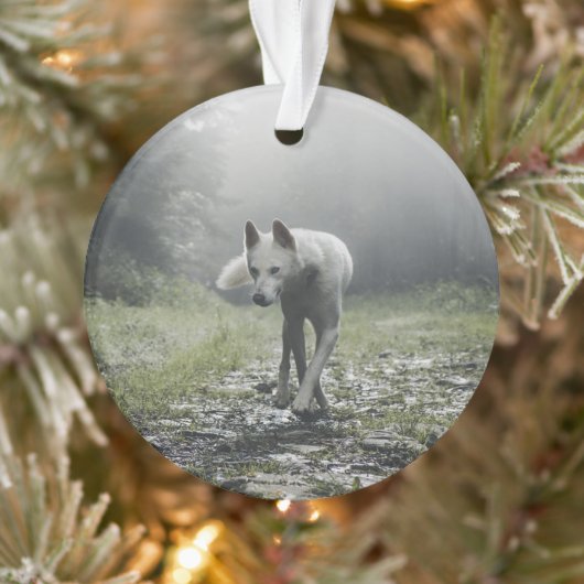 White Siberian Husky Ornament (Boom)