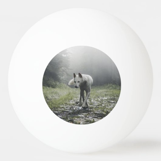 White Siberian Husky Pingpongbal (Voorkant)