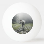 White Siberian Husky Pingpongbal (Achterkant)