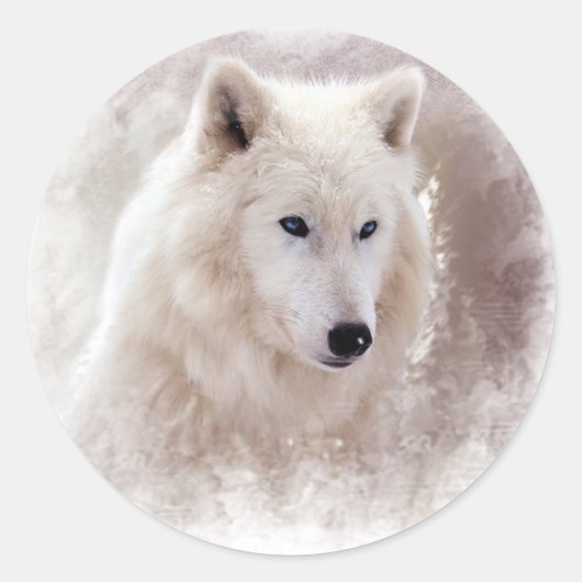 WHITE SIBERIAN HUSKY. RONDE STICKER (Voorkant)