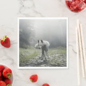 White Siberian Husky Servet (Insitu)