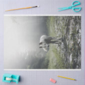White Siberian Husky Tissuepapier (Craft)