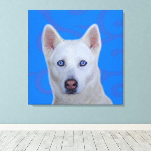 White Siberian Husky Wrapped Canvas (Insitu (Houten vloer))