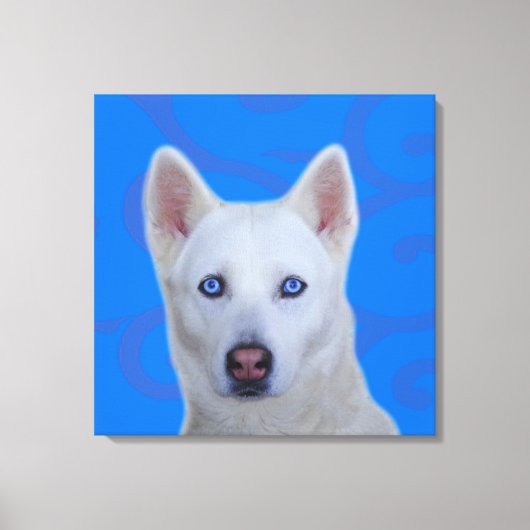 White Siberian Husky Wrapped Canvas Afdruk (Voorkant)