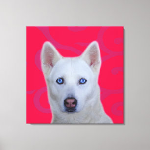White Siberian Husky Wrapped Canvas Afdruk