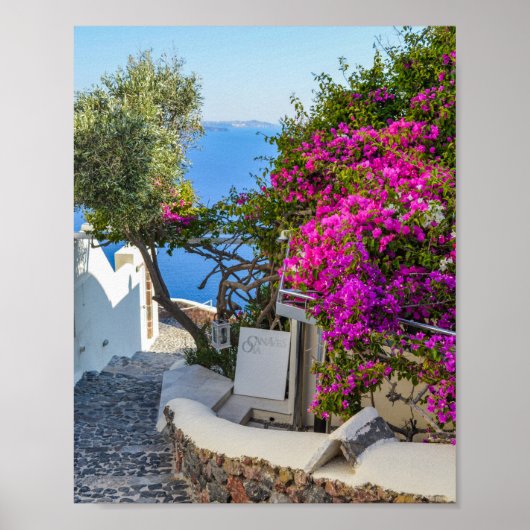 White Signage Beside Paarse Bougainvillea Poster (Voorkant)