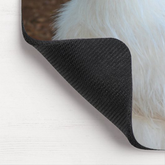 White Silkie Chicken Muismat (Hoek)