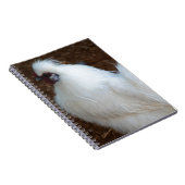 White Silkie Chicken Notitieboek (Rechterzijde)