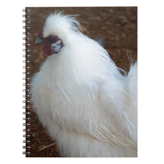 White Silkie Chicken Notitieboek (Voorkant)