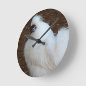 White Silkie Chicken Ronde Klok (Hoek)