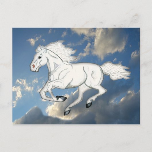 White Sky Horse Briefkaart (Voorkant)