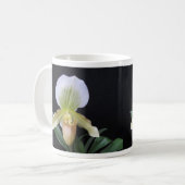 White Slipper Orchid Mok (Voorkant links)