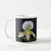 White Slipper Orchid Mok (Links)
