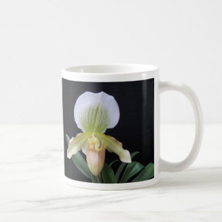 White Slipper Orchid Mok