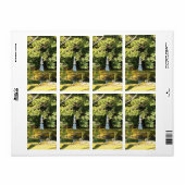 White Snake Pagoda / Hakuja No Tsuka Etiket (Full Sheet)