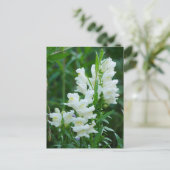 White Snapdragon Flowers Briefkaart (Staand voorkant)