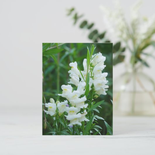 White Snapdragon Flowers Briefkaart (Staand voorkant)