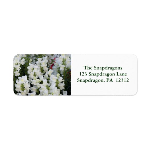 White Snapdragons Return Address Label (Voorkant)