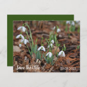 White Snow Drop Celebration De datum opslaan Feestdagenkaart (Voorkant / Achterkant)