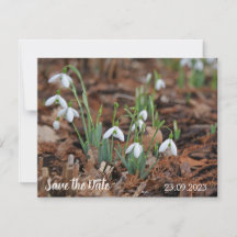 White Snow Drop Celebration De datum opslaan