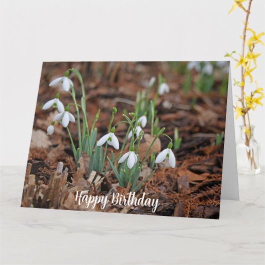 White Snow Drop Viering Verjaardag Kaart (Gele Bloem)
