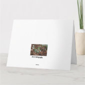 White Snow Drop Viering Verjaardag Kaart (Achterkant)